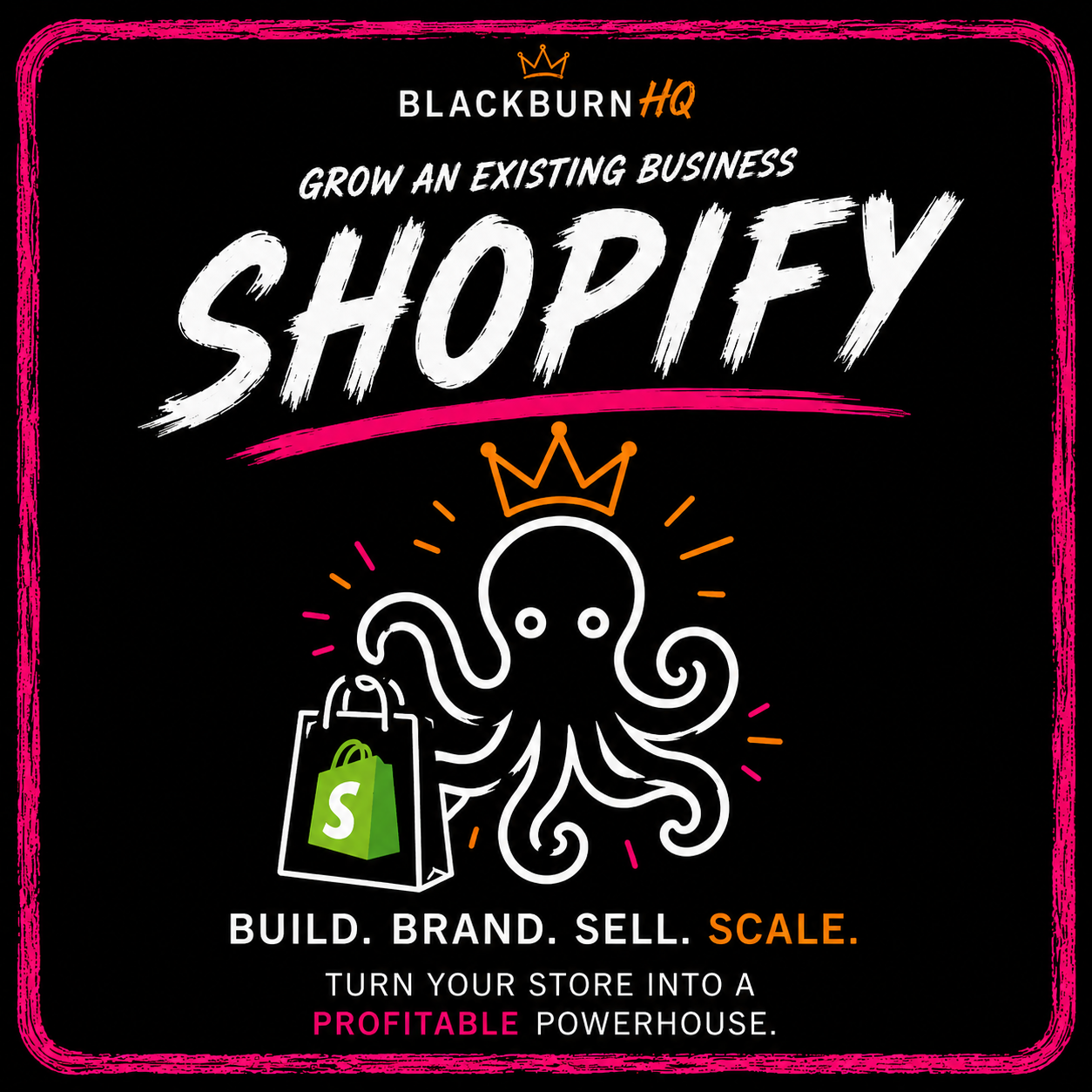 Shopify Expansion Pack