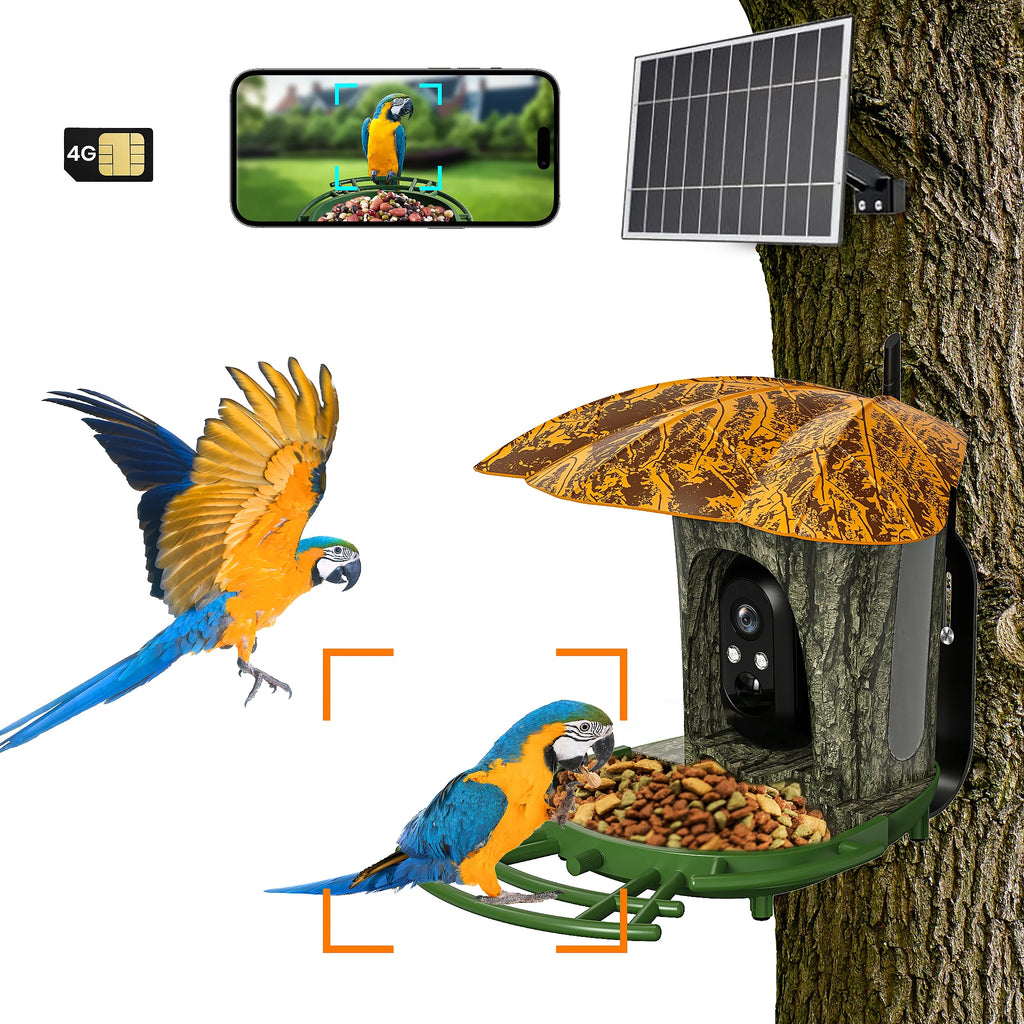 Smart Bird Feeder with Camera – 2K HD WiFi Birdhouse with AI Detection & Solar Power
