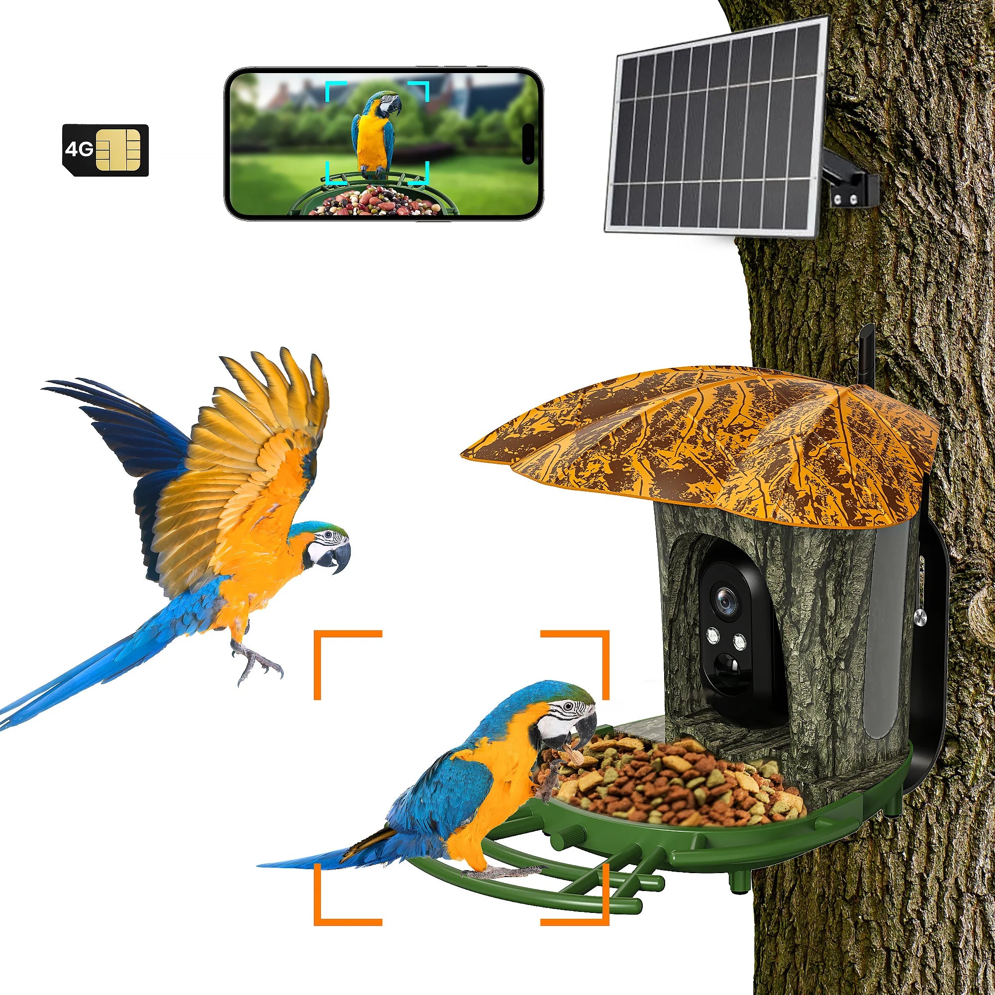 Smart Bird Feeder with Camera – 2K HD WiFi Birdhouse with AI Detection & Solar Power