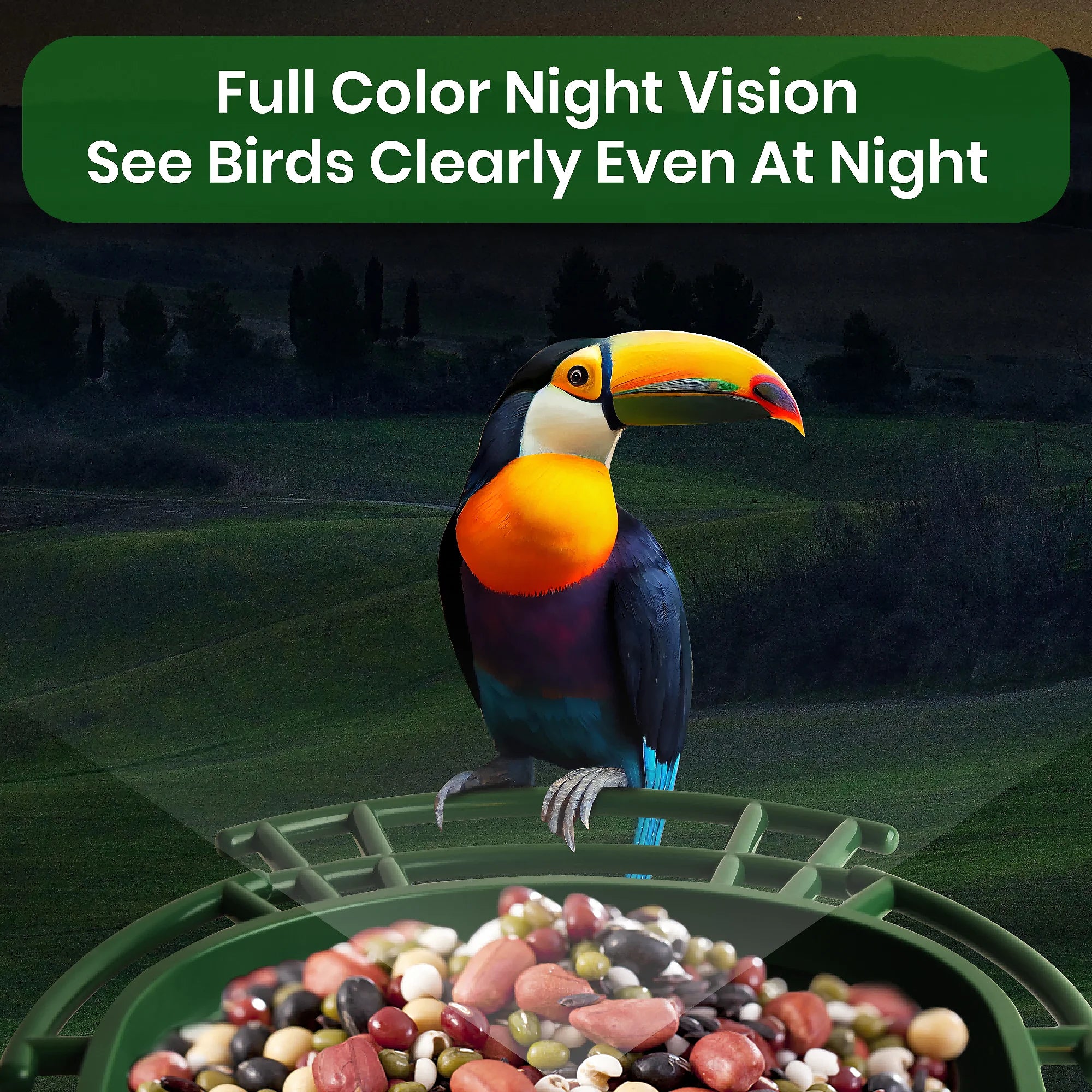 Smart Bird Feeder with Camera – 2K HD WiFi Birdhouse with AI Detection & Solar Power