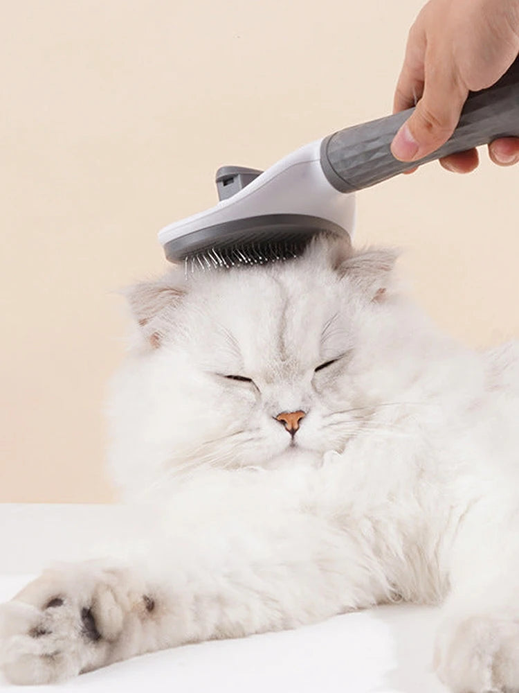 SPECIFICATIONS  Brand Name: NONE  Choice: yes  High-concerned chemical: None  Item Type: combs  Material: Plastic  Origin: Mainland China  Type: cats