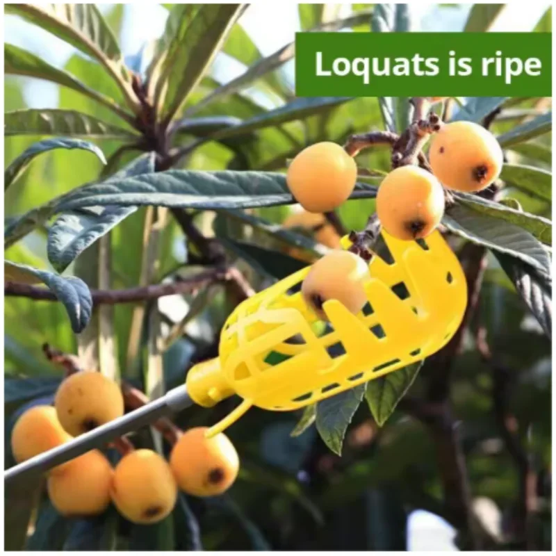 Fruit Picker Tool with Basket – Easy Reach Apple & Peach Picker Head for Tree Harvesting (No Ladder Needed)