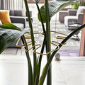 Metal Plant Support Stake – Monstera & Climbing Plant Stabilizer for Upright Growth (Decorative Indoor Plant Support)