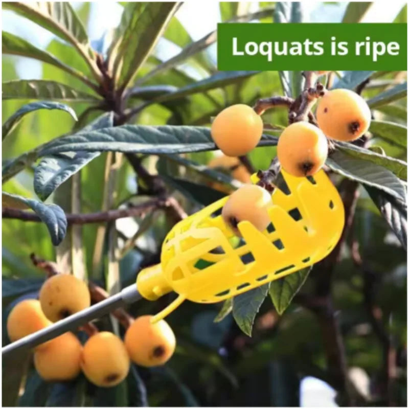 Fruit Picker Tool with Basket – Easy Reach Apple & Peach Picker Head for Tree Harvesting (No Ladder Needed)