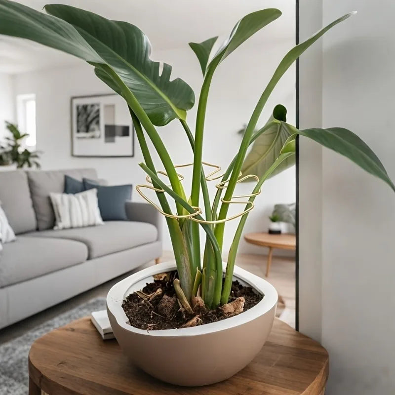 Metal Plant Support Stake – Monstera & Climbing Plant Stabilizer for Upright Growth (Decorative Indoor Plant Support)