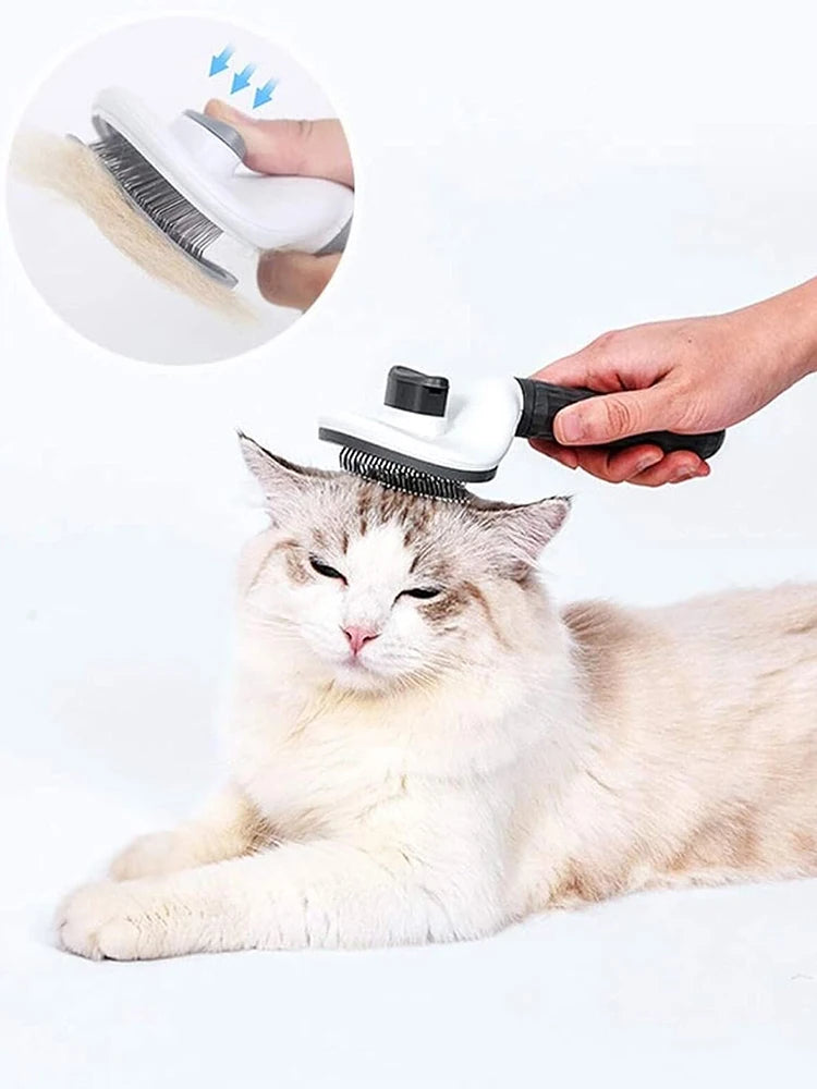 SPECIFICATIONS  Brand Name: NONE  Choice: yes  High-concerned chemical: None  Item Type: combs  Material: Plastic  Origin: Mainland China  Type: cats