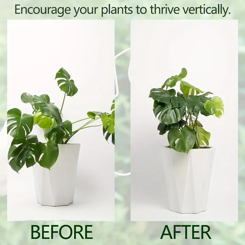 Metal Plant Support Stake – Monstera & Climbing Plant Stabilizer for Upright Growth (Decorative Indoor Plant Support)