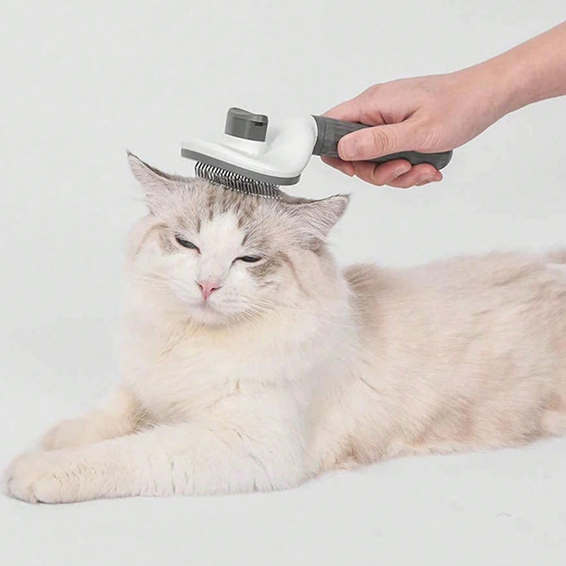 SPECIFICATIONS  Brand Name: NONE  Choice: yes  High-concerned chemical: None  Item Type: combs  Material: Plastic  Origin: Mainland China  Type: cats