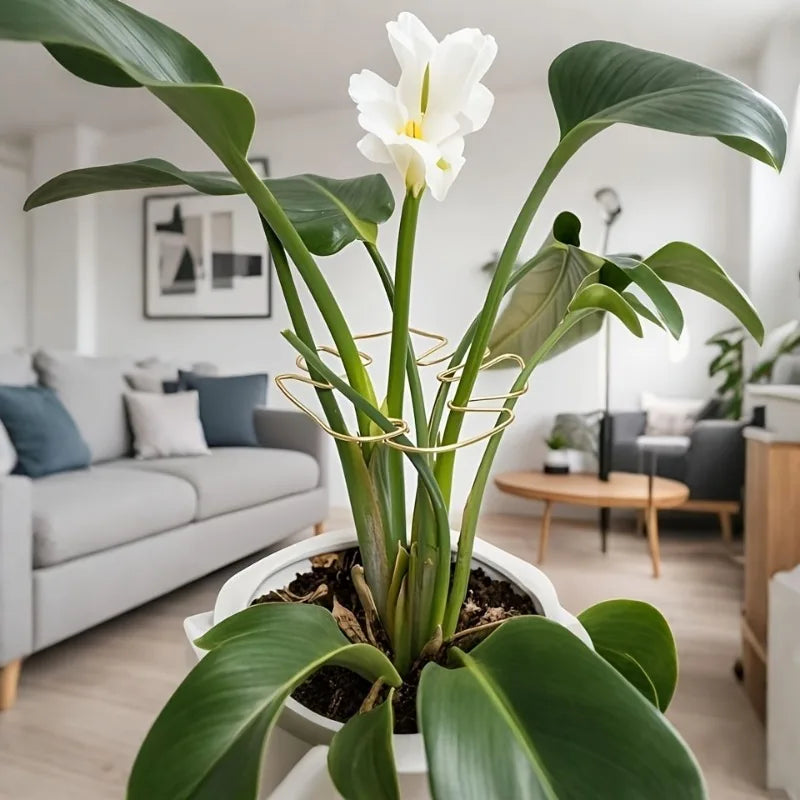 Metal Plant Support Stake – Monstera & Climbing Plant Stabilizer for Upright Growth (Decorative Indoor Plant Support)