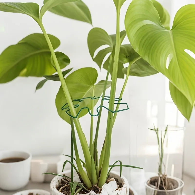Metal Plant Support Stake – Monstera & Climbing Plant Stabilizer for Upright Growth (Decorative Indoor Plant Support)