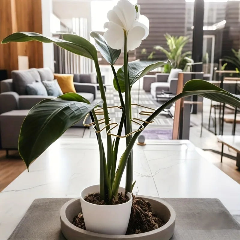 Metal Plant Support Stake – Monstera & Climbing Plant Stabilizer for Upright Growth (Decorative Indoor Plant Support)