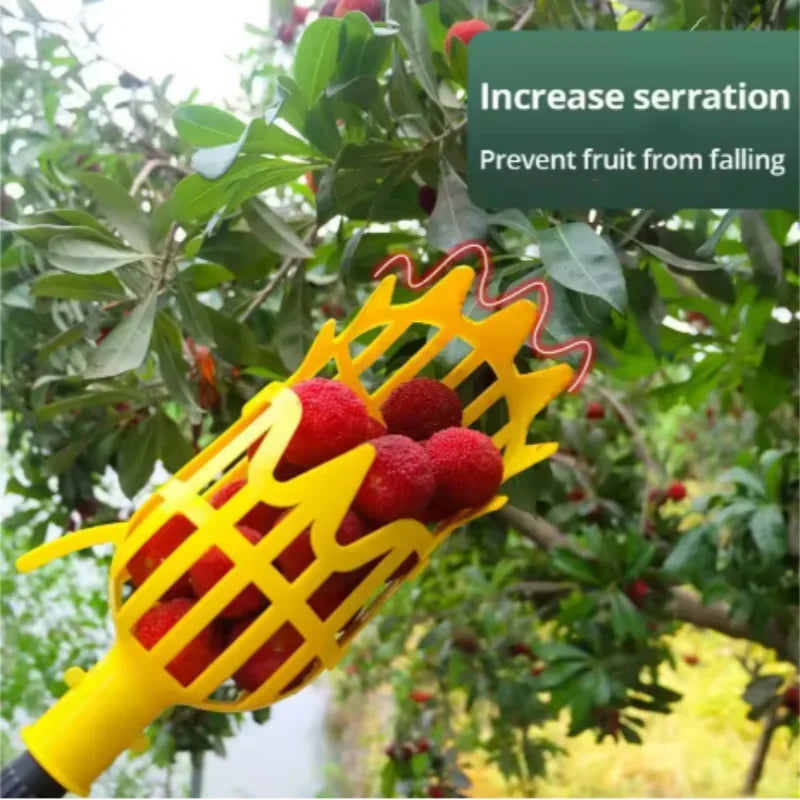 Fruit Picker Tool with Basket – Easy Reach Apple & Peach Picker Head for Tree Harvesting (No Ladder Needed)
