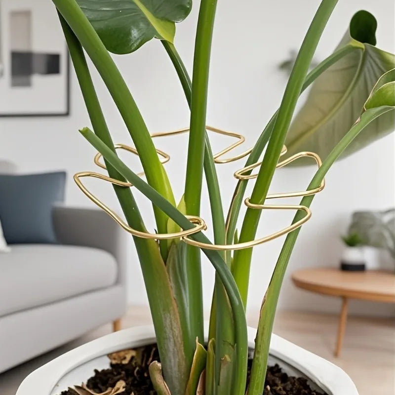 Metal Plant Support Stake – Monstera & Climbing Plant Stabilizer for Upright Growth (Decorative Indoor Plant Support)