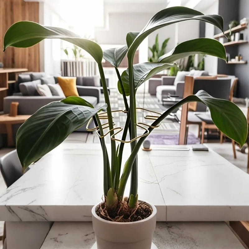 Metal Plant Support Stake – Monstera & Climbing Plant Stabilizer for Upright Growth (Decorative Indoor Plant Support)