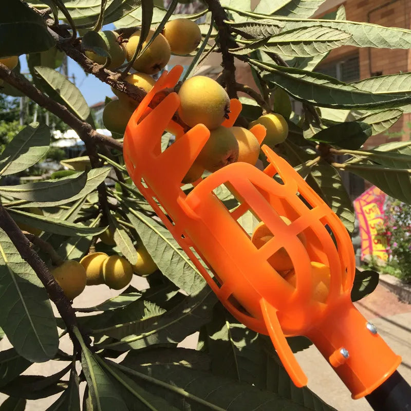 Fruit Picker Tool with Basket – Easy Reach Apple & Peach Picker Head for Tree Harvesting (No Ladder Needed)